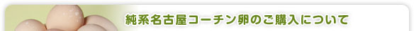 純系名古屋コーチン卵のご購入について